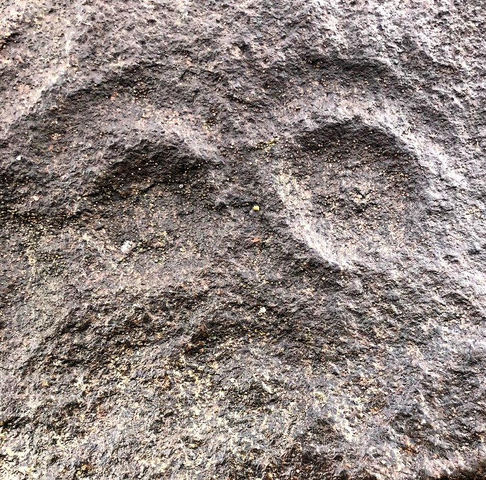 08 Eyes and mouth on petroglyph.jpg