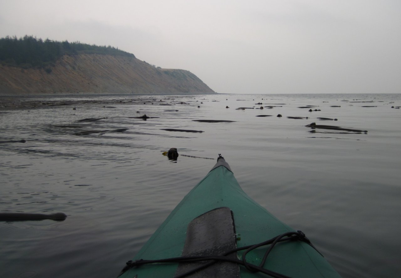 14 paddling south along Whidbey shore.JPG