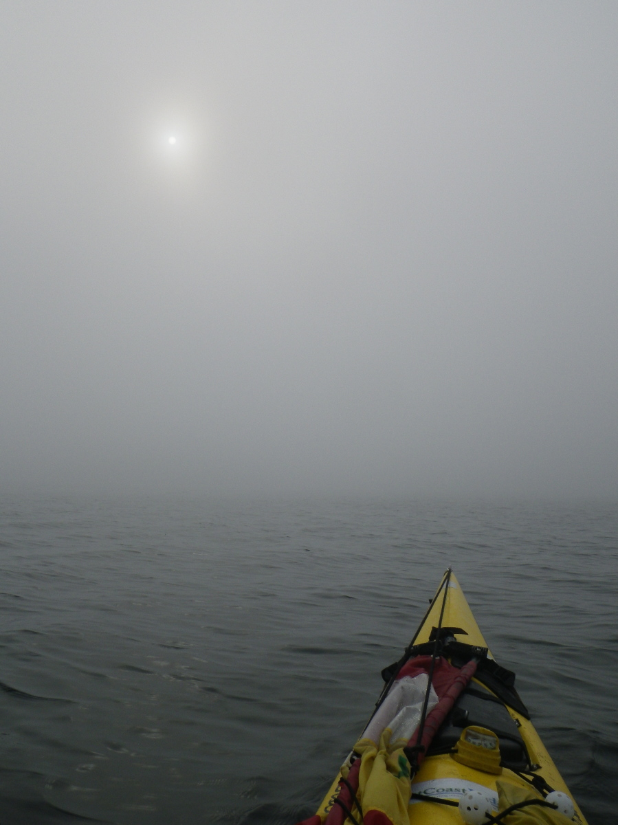 IMGP0245 through the fog.jpg